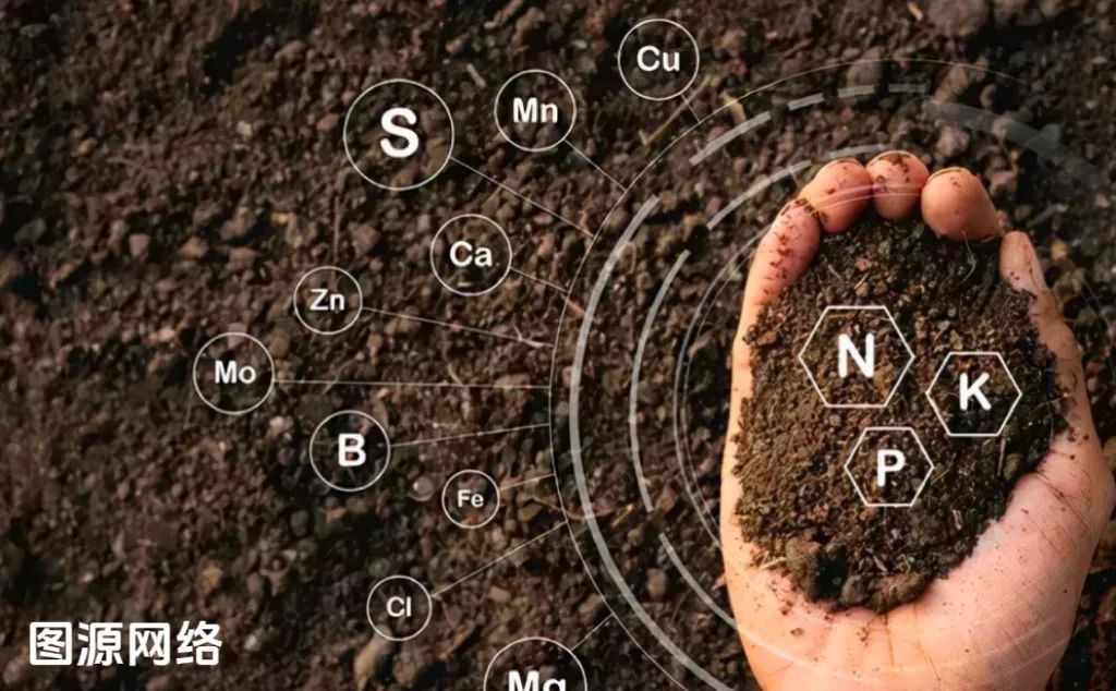 1698633651927229.jpg 640.jpg