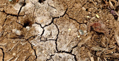 1698633810301697.gif 640 (3).gif