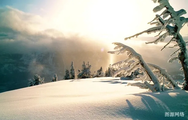 1730959258754725.png 微信截圖_20241107135647.png