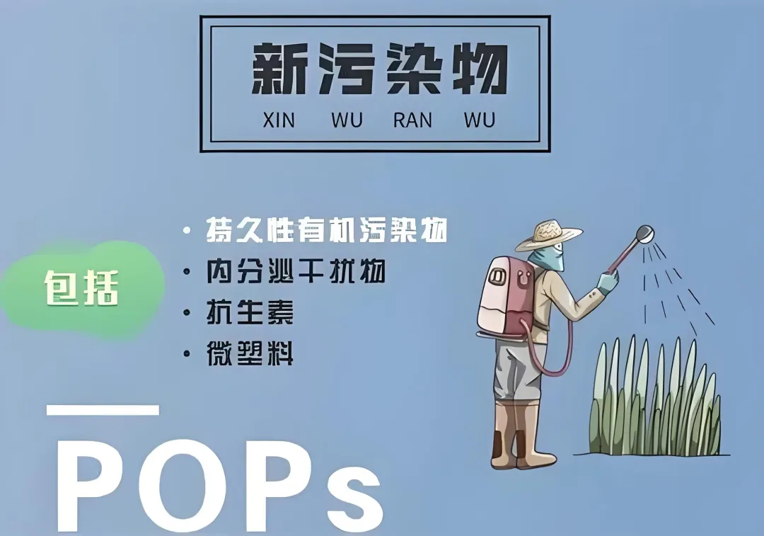 1740037145427979.png 1.png