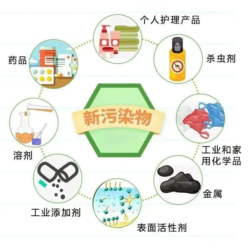 1740037232803079.png 2.png