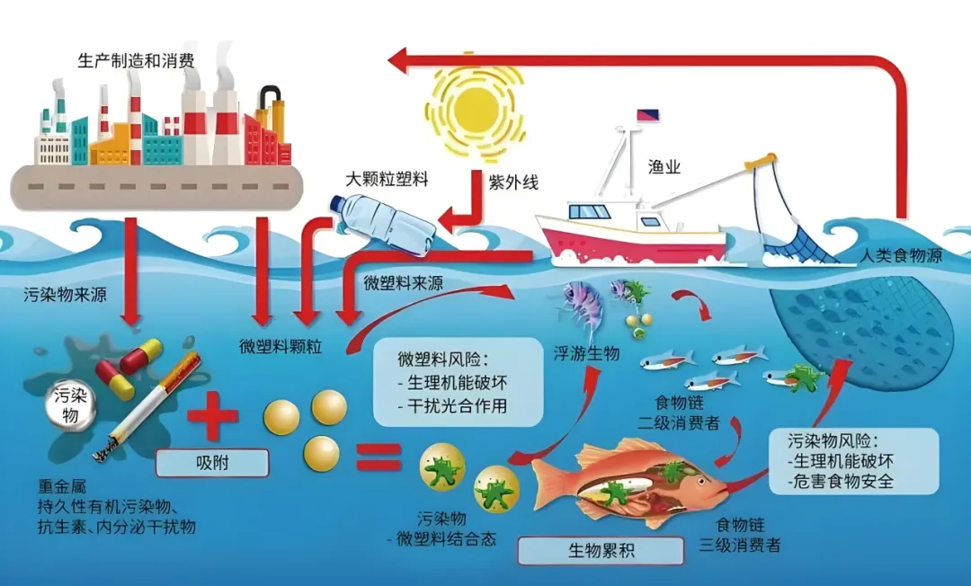 1740037317473503.png 3.png