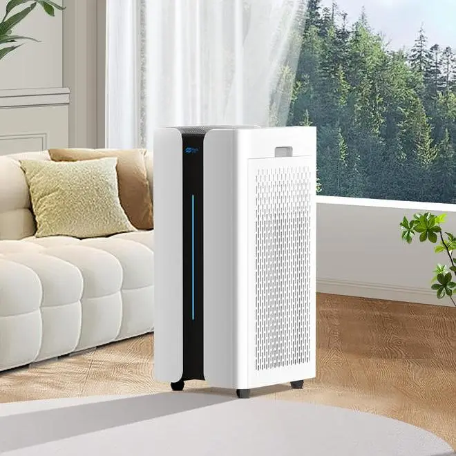 1740037416802269.png 6.png