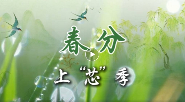 1742952410281806.png 4.png